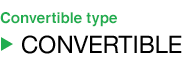 Convertible type